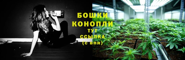 МДПВ Навашино