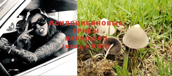 скорость Арсеньев