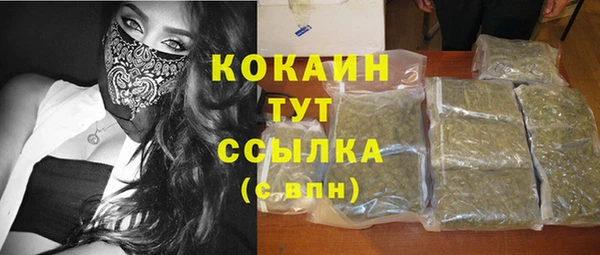 apvp Аркадак