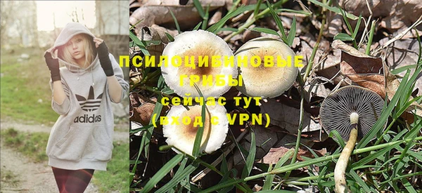 скорость Арсеньев