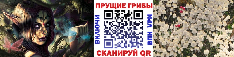 Галлюциногенные грибы ЛСД Поронайск
