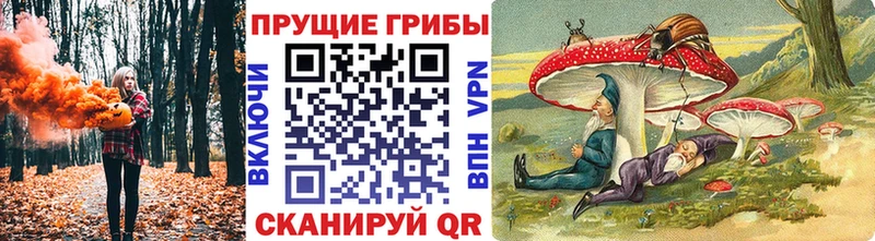 Галлюциногенные грибы Magic Shrooms  Поронайск 